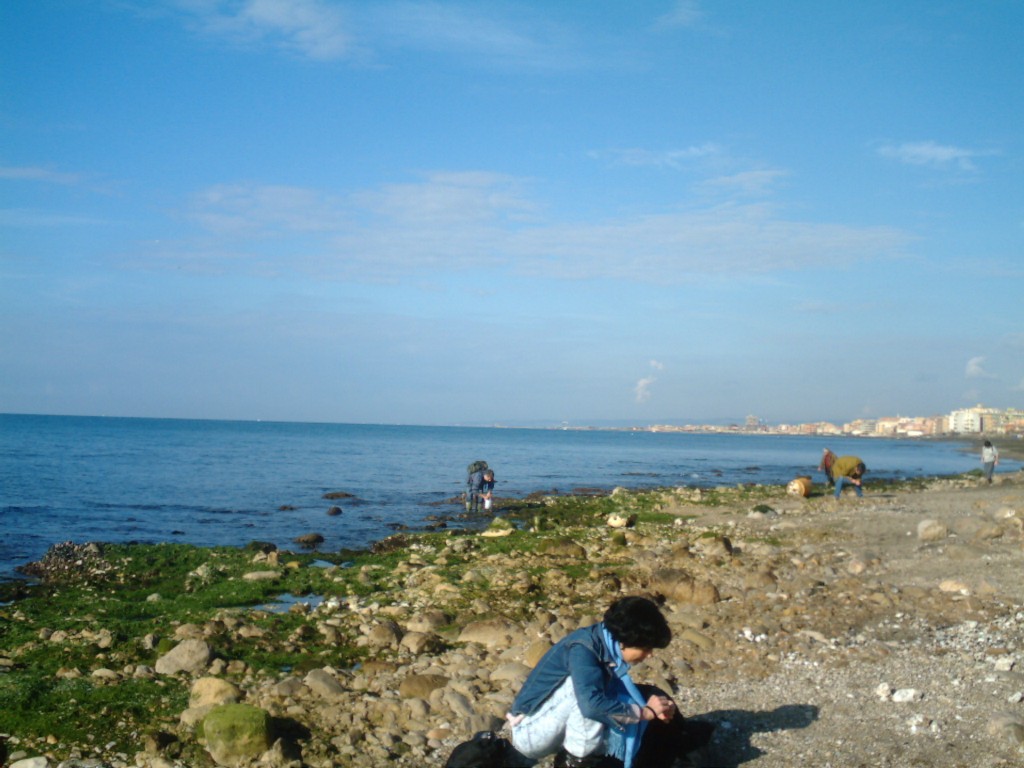 passeggiate malacologiche 2